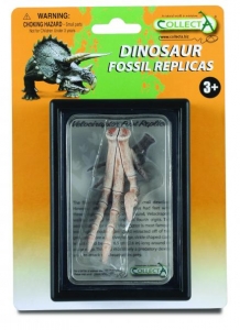CollectA 89285 Fu�-Replik von Velociraptor Box Set - Tierfiguren