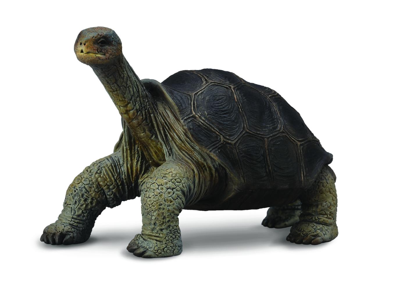 CollectA Galapagos-Riesenschildkr�te 88619 ca.6.5x4x5cm