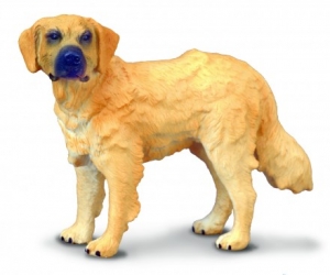 CollectA 88116 Golden Retriever - Tierfiguren bei spielzeug-guenstig.de