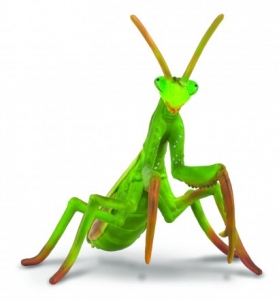 CollectA 88351 Gottesanbeterin - Tierfiguren bei spielzeug-guenstig.de
