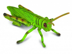 CollectA 88352 Grash�pfer - Tierfiguren - Figuren bei spielzeug-guenstig.de