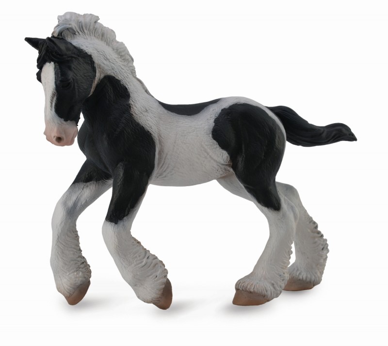 CollectA Gypsy Foal - Black & White Piebald 88770