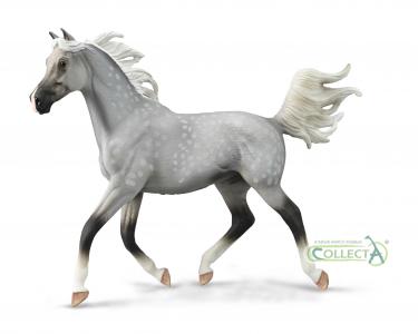 CollectA Pferde: CollectA Halb-Araber Hengst Dappled Grey - Deluxe im Ma�stab 1:12� 88959