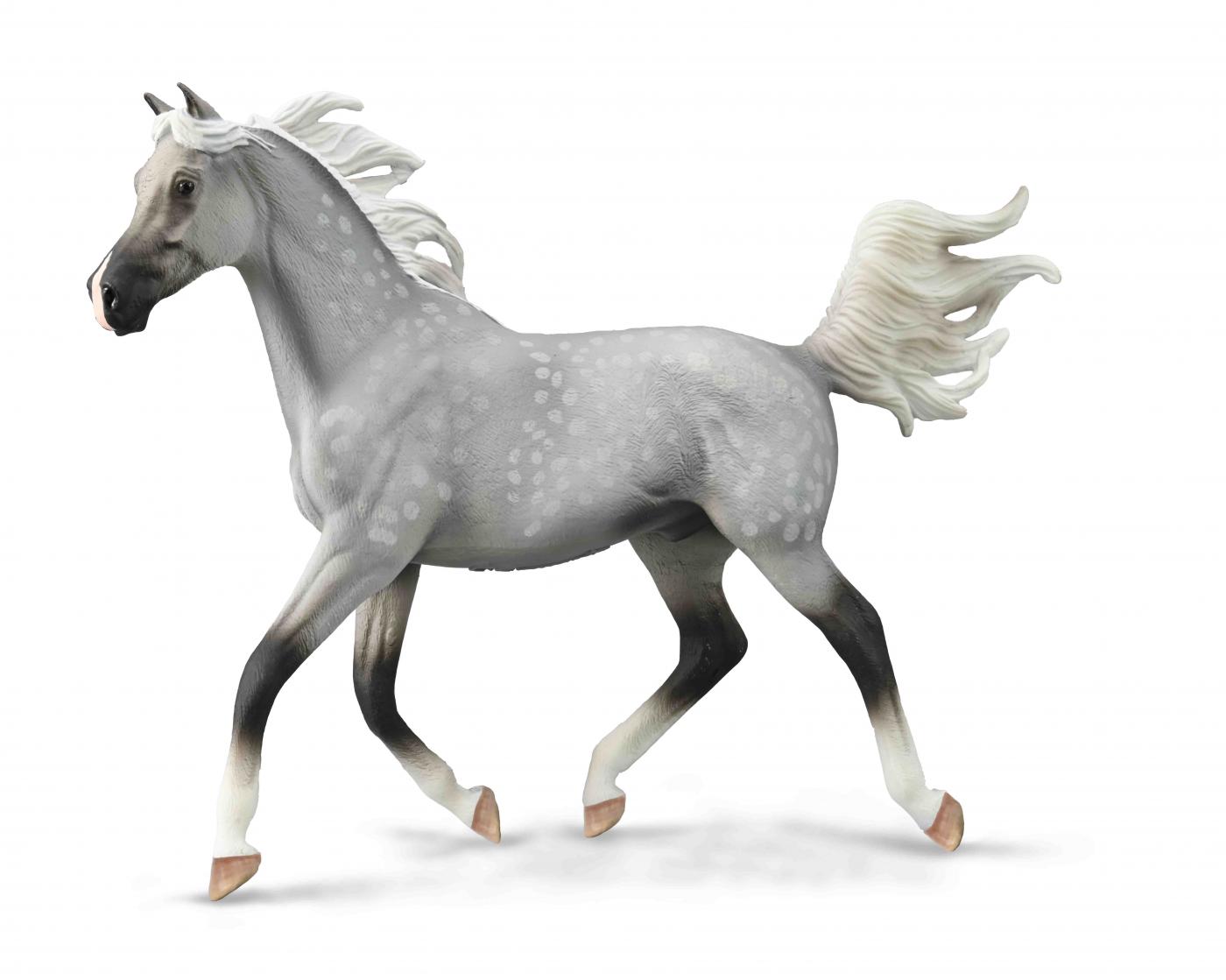 CollectA Half arabian stallion dapple grey 88959 Deluxe in window box scale 1:12 84200