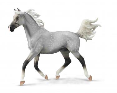 CollectA Horses Scale 1:12: CollectA Half arabian stallion dapple grey 88959 Deluxe in window box scale 1:12 84200