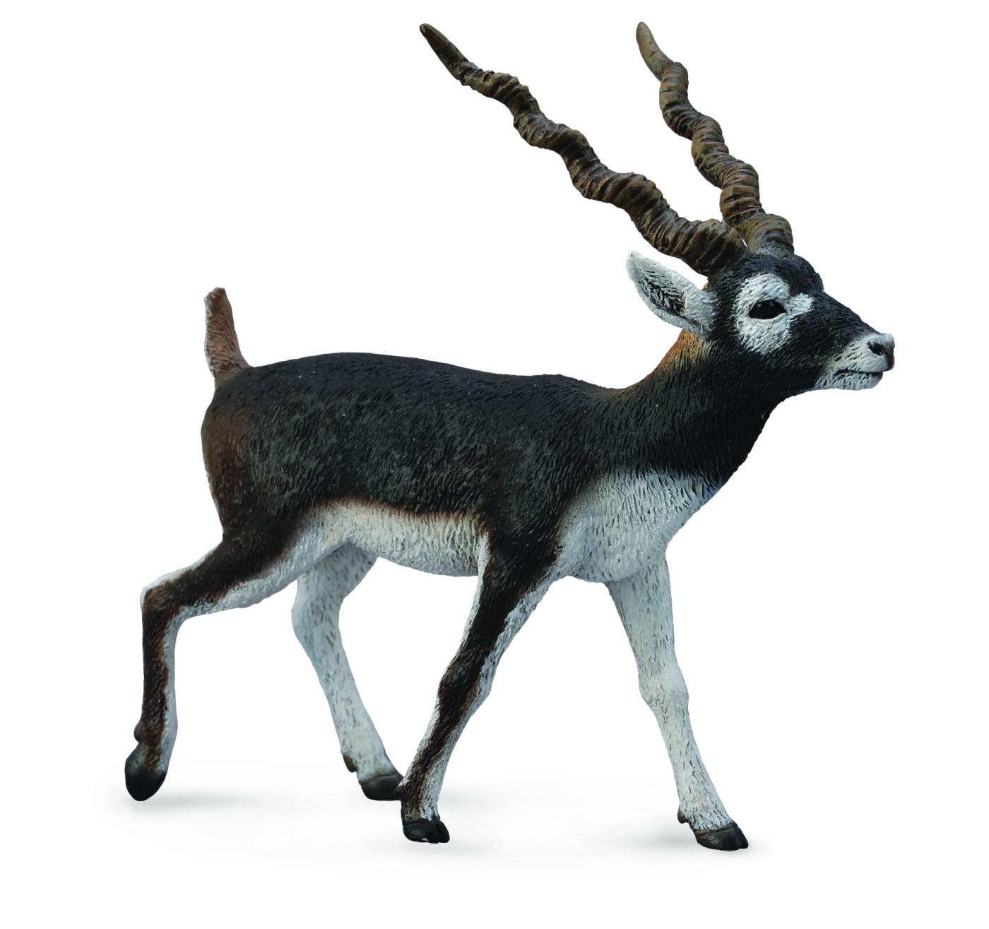 CollectA Hirschziegenantilope 88638 ca.8.5x3x8cm