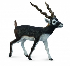 CollectA 88638 Hirschziegenantilope - Tierfiguren bei spielzeug-guenstig.de