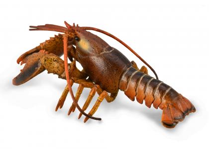CollectA Meerestiere: CollectA Hummer 88920