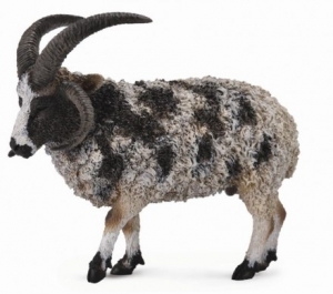 CollectA Jacob Sheep 88728 Farm Life