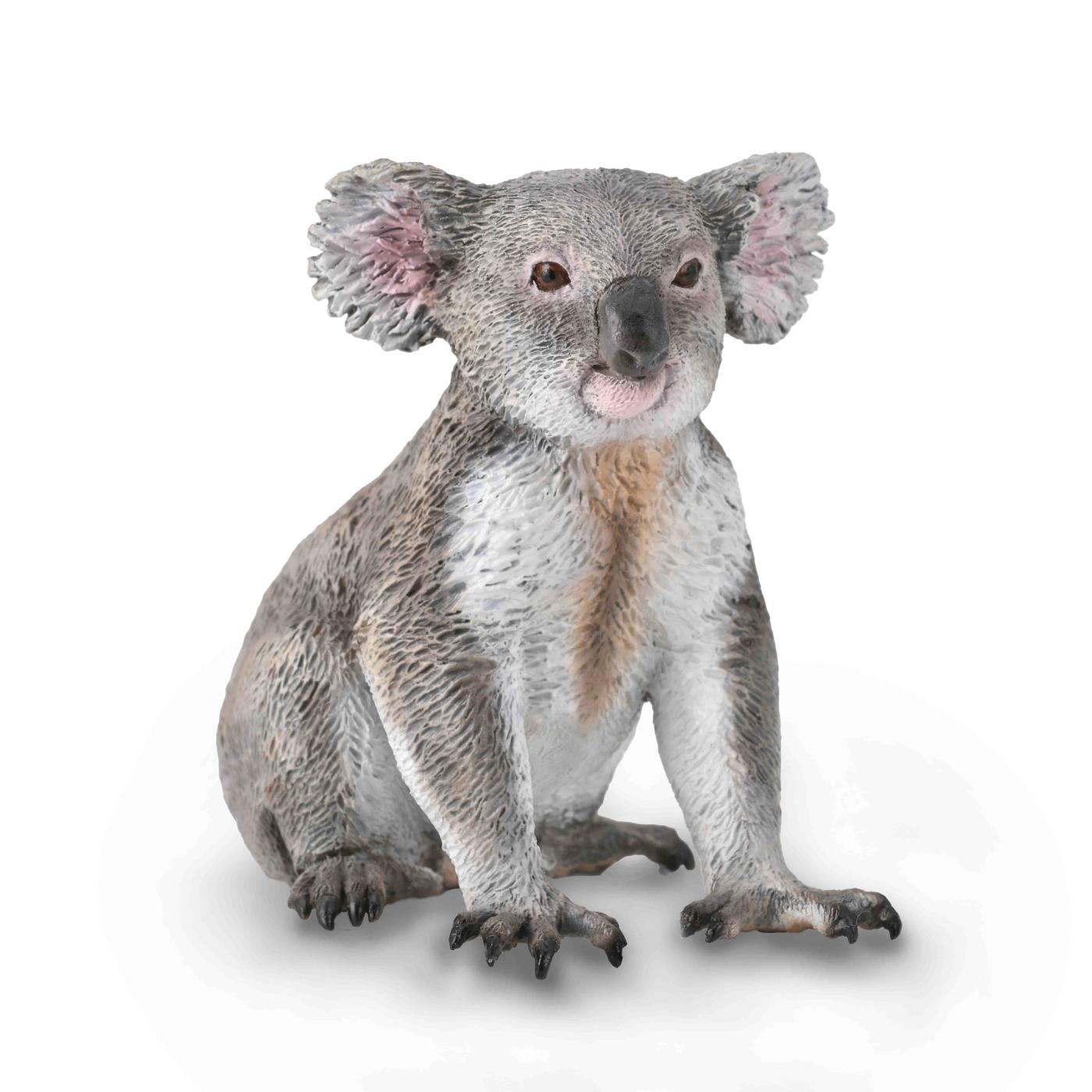 CollectA Wild Life Collection: CollectA Koala bear 88940