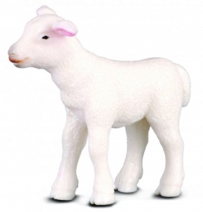CollectA 88009 lamb - animal figures at spielzeug-guenstig.de