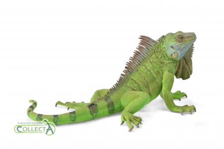 CollectA Wilde Tiere: CollectA Leguan (Gr�ner Leguan) 88965