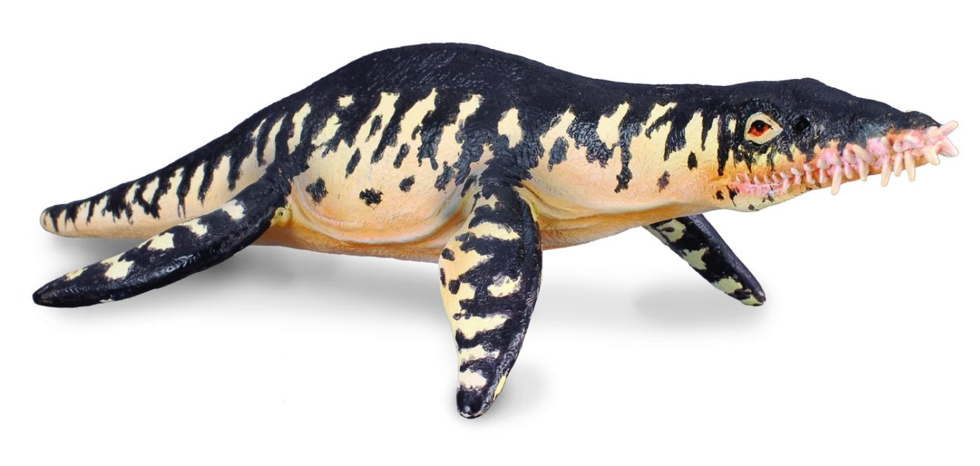 CollectA Liopleurodon 88237 ca.18x9x3cm