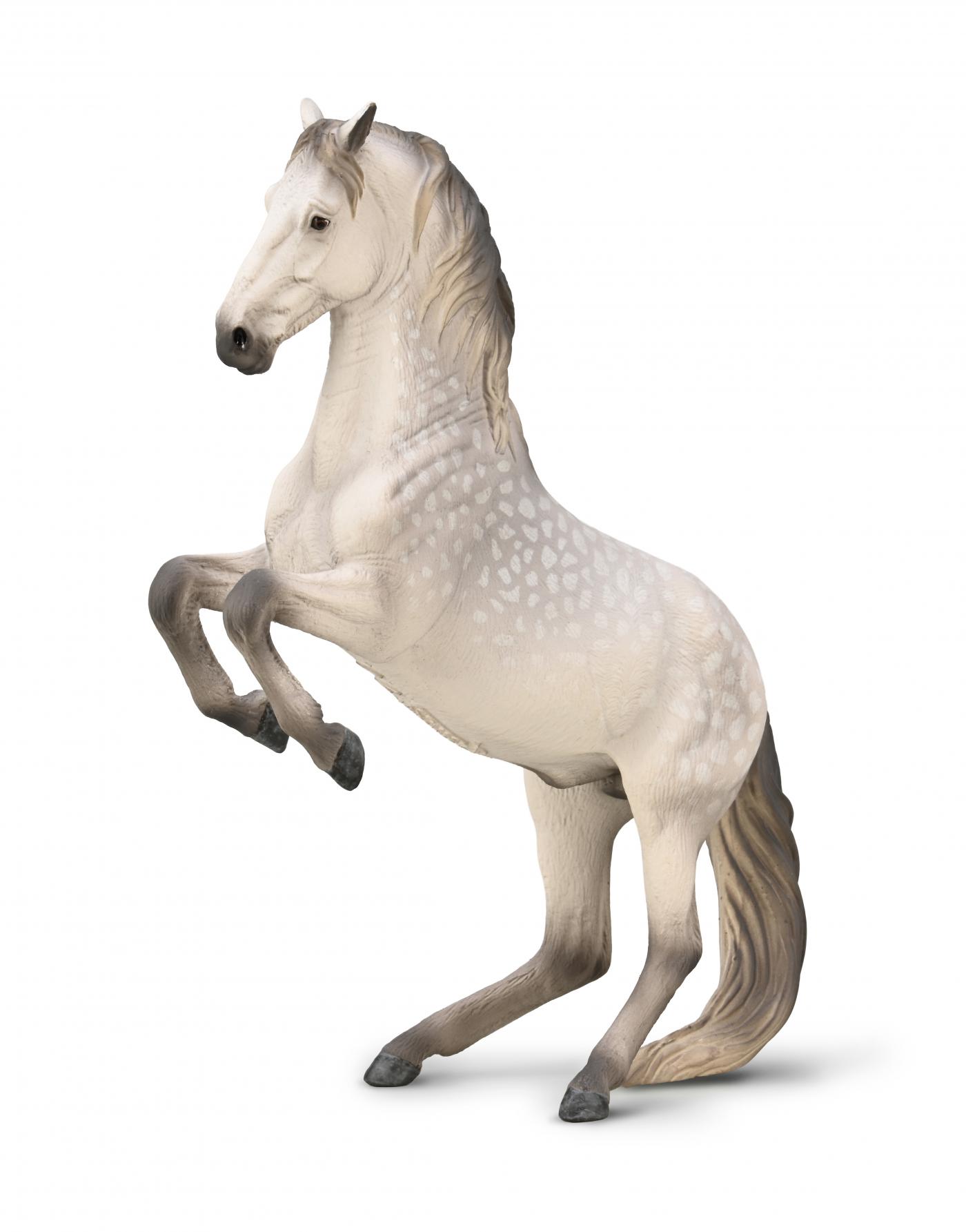 CollectA Lipizzanerhengst Apfelschimmel 80051