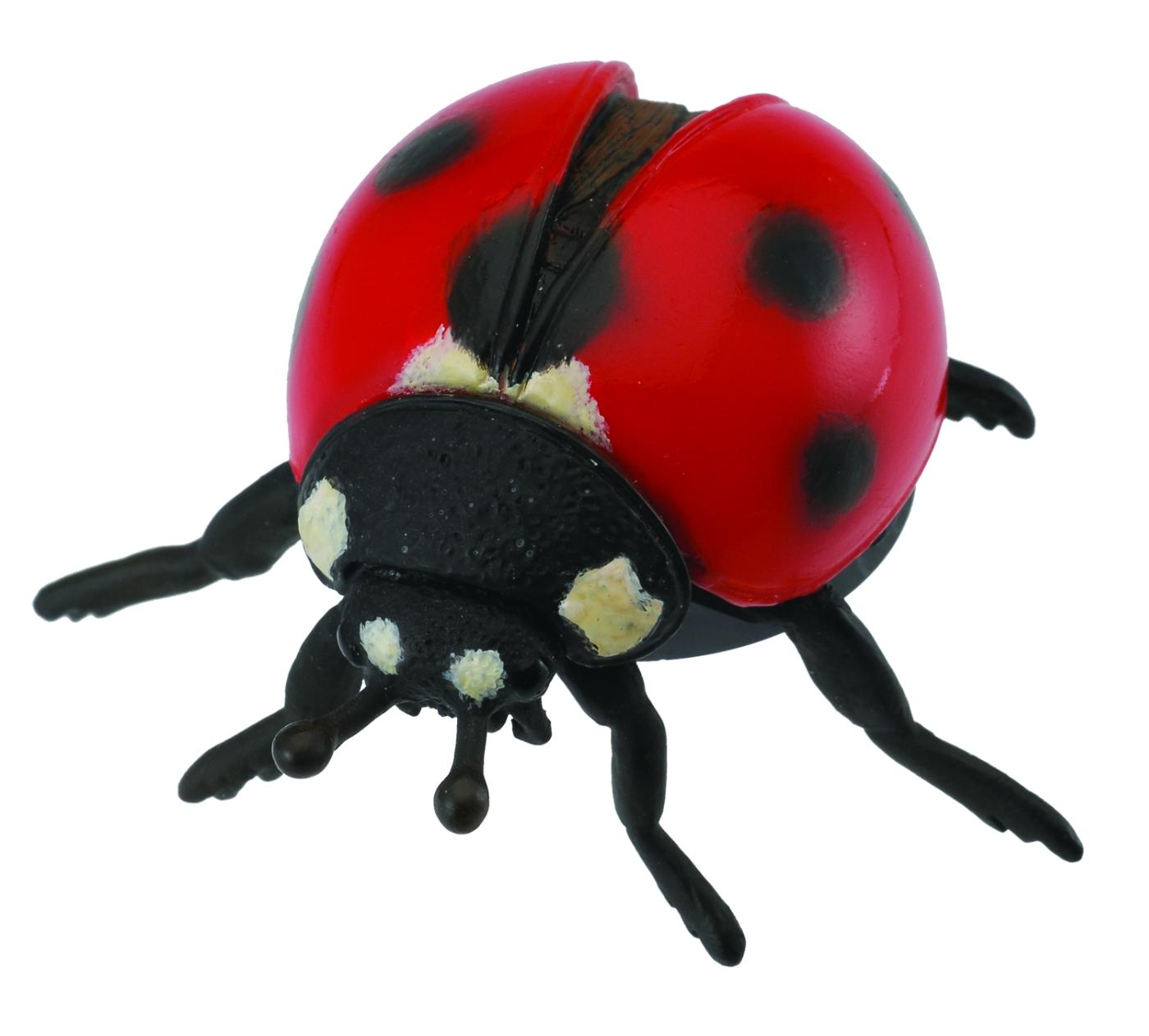 CollectA Marienk�fer 88474 ca.5.5x4.5x2.5cm
