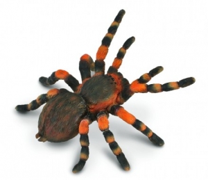 CollectA 88338 Mexikanische Rotknie-Vogelspinne bei spielzeug-guenstig.de