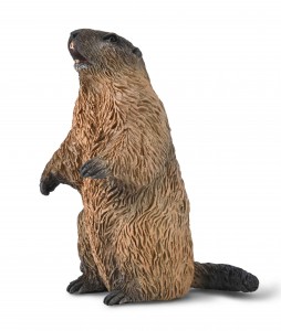 CollectA Wilde Tiere: CollectA Murmeltier 80044