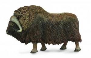 CollectA Wildlife: CollectA Musk Ox 88837