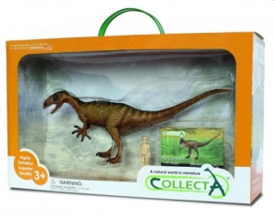 CollectA Urzeit Deluxe 1:40: CollectA NEOVENATOR in Fensterverpackung 89452
