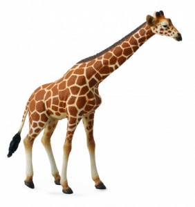 CollectA 88534 Netzgiraffe - Tierfiguren - Figuren bei spielzeug-guenstig.de