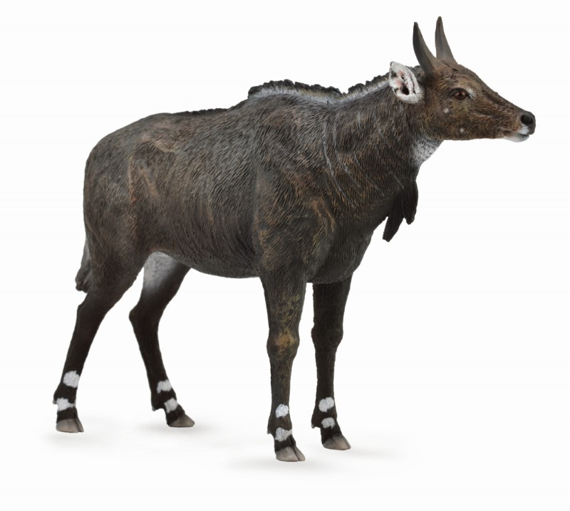 Collecta 88578 Rappenantilope Weibchen 11 cm Wildtiere