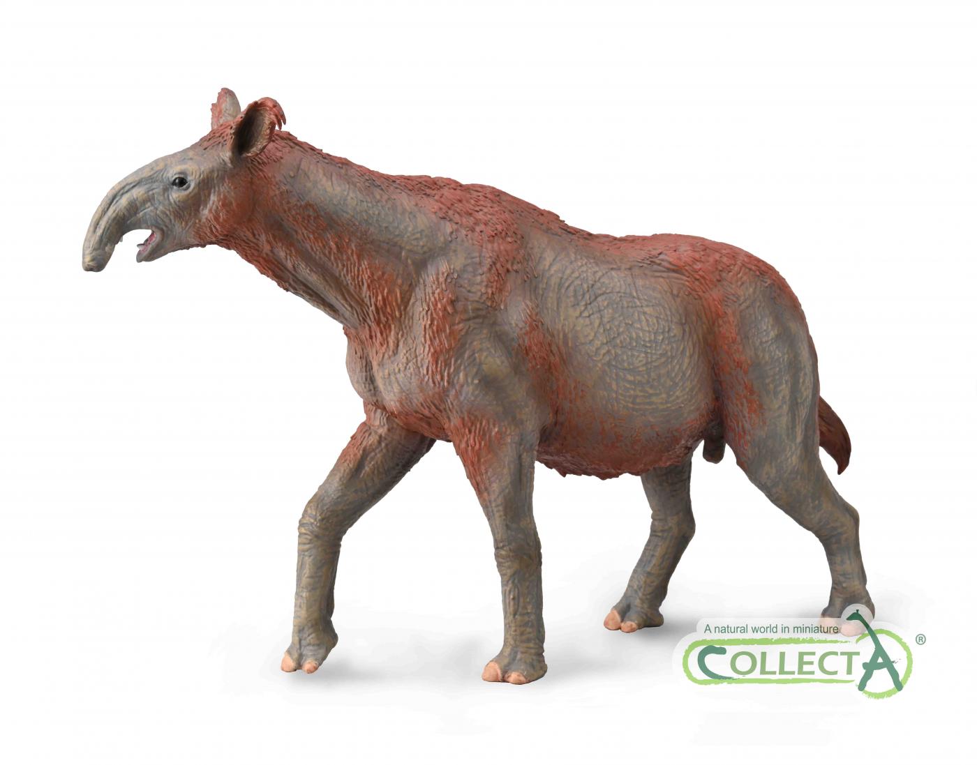 CollectA Paraceratherium - Deluxe im Ma�stab 1:20 88949