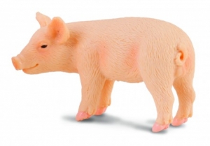 CollectA 88063 piglet standing - animal figures at spielzeug-guenstig.de