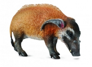 CollectA 88554 Pinselohrschwein - Tierfiguren bei spielzeug-guenstig.de