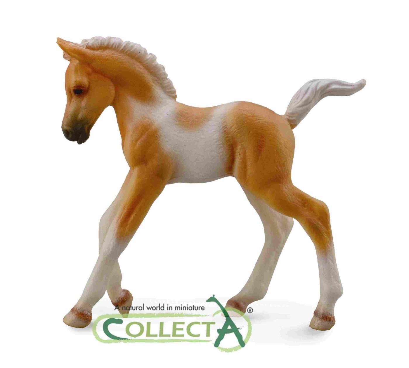 CollectA Pinto Fohlen Palomino 88668