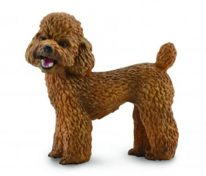 CollectA Dogs: CollectA Poodle  88880