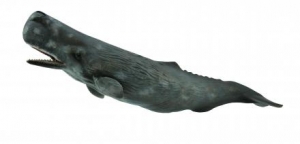 CollectA Meerestiere: CollectA Pottwal 88835