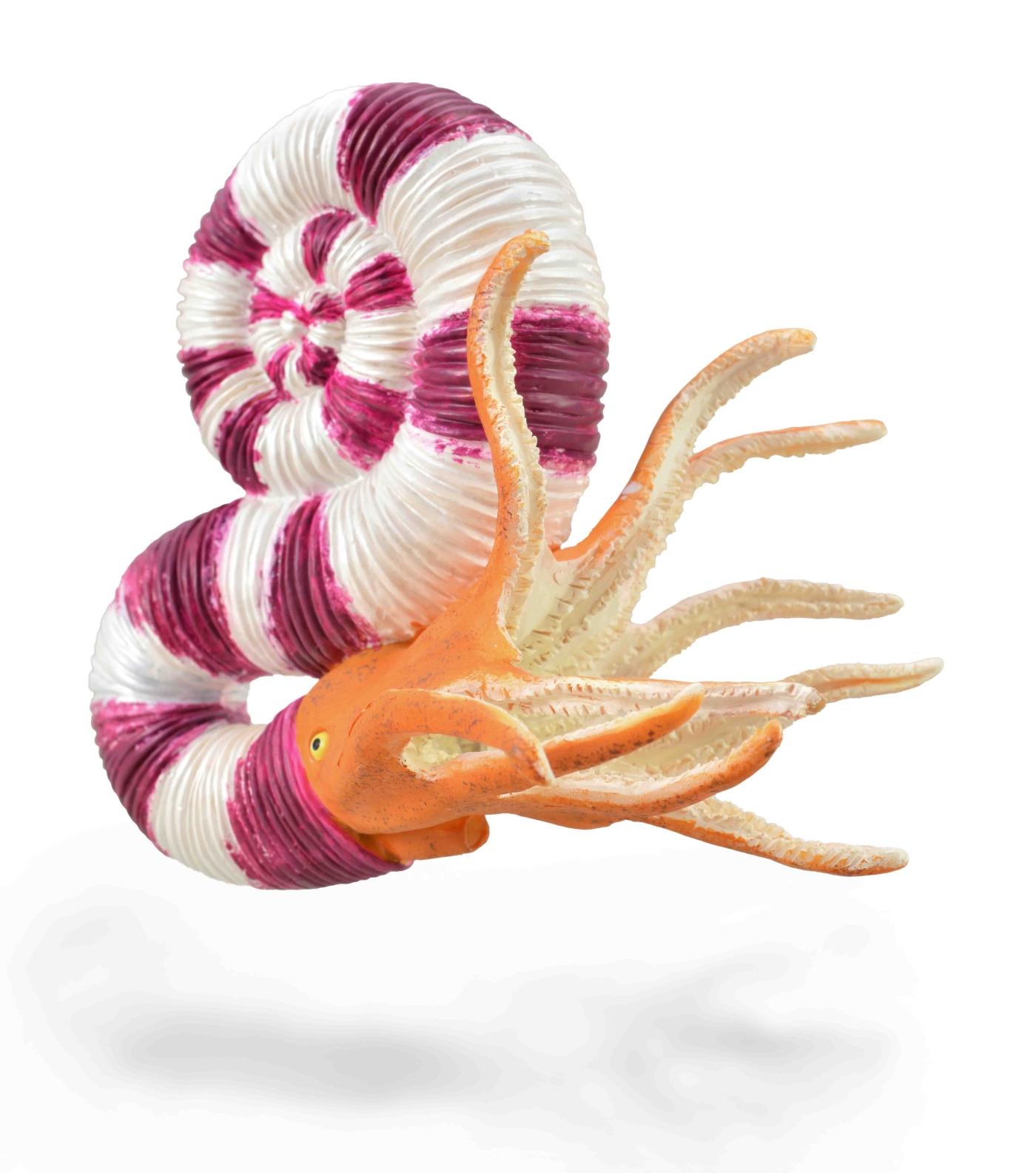 CollectA Pravitoceras 88927