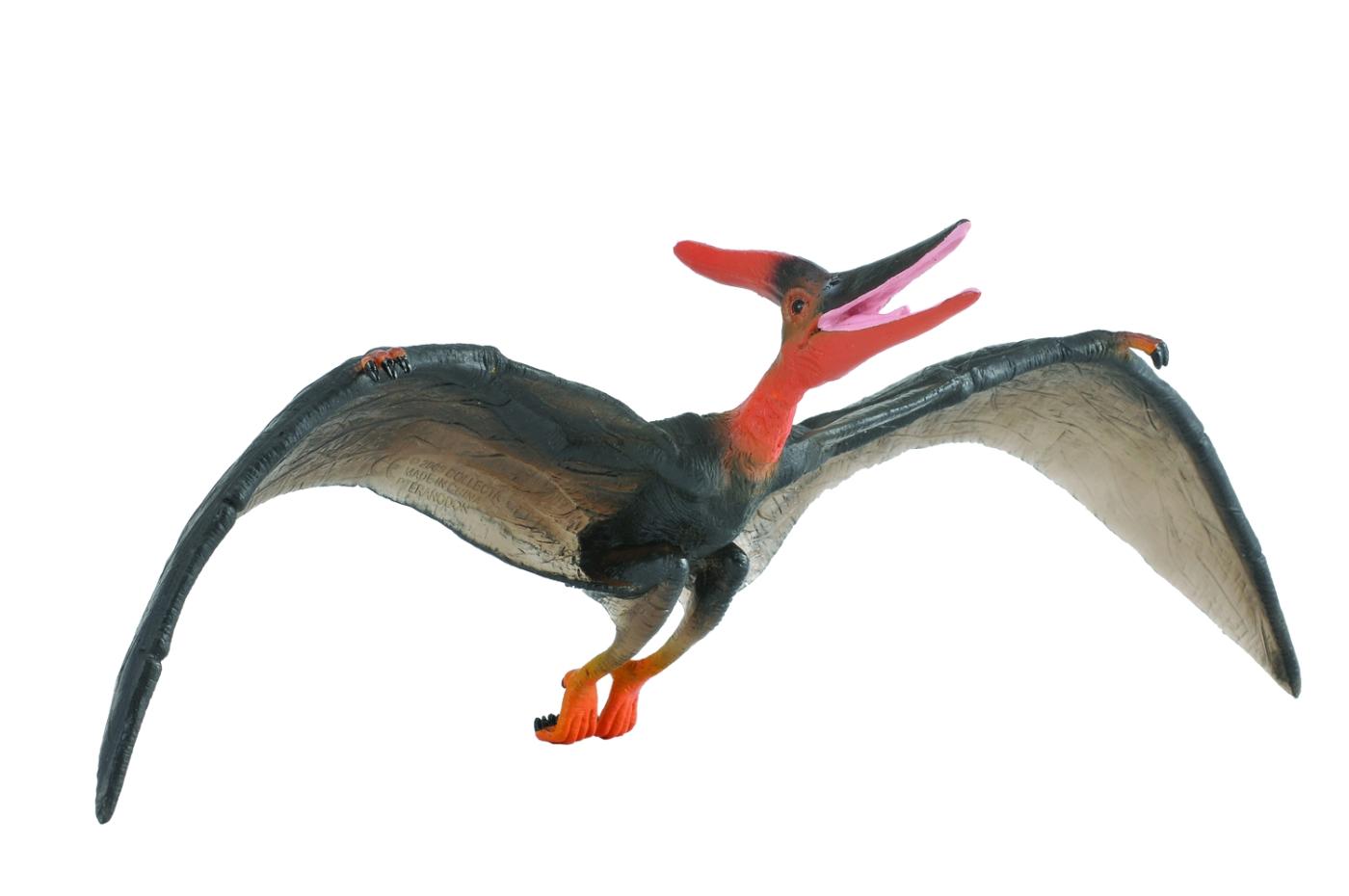 CollectA Pteranodon 88249 ca.28.5x10x11.5cm
