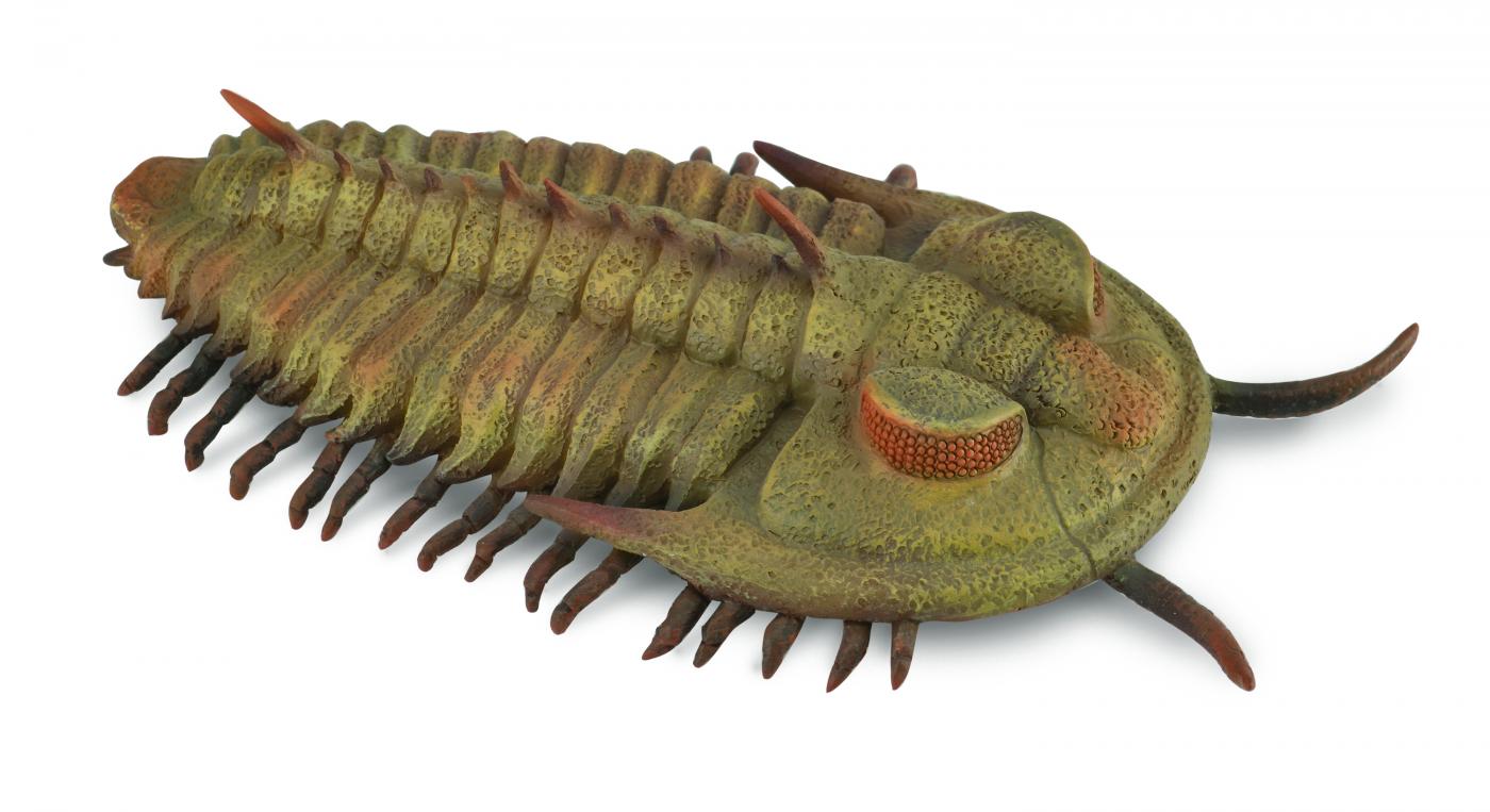 Collecta 88906 Riesen-Trilobit 9 cm Dino Neuheit 2020 Redlichia rex Trilobit 