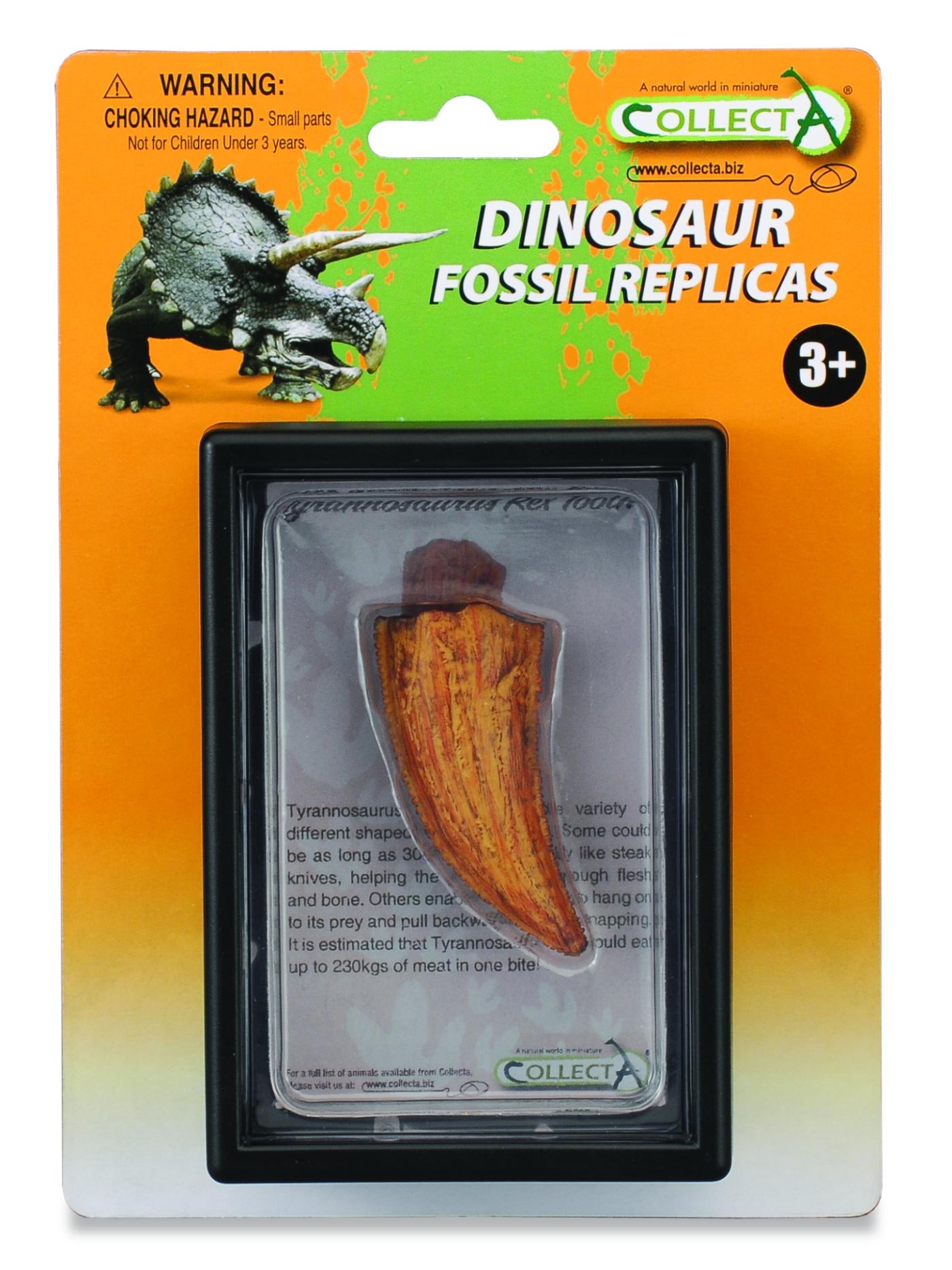 CollectA Replik Seitenzahn von Tyrannosaurus Rex Boxed Set