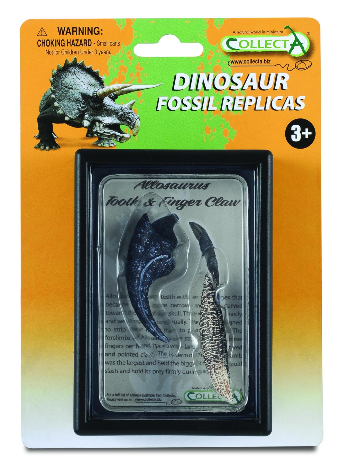 CollectA ReplikZahn & Finger-Greifer von Allosaurus Box Set