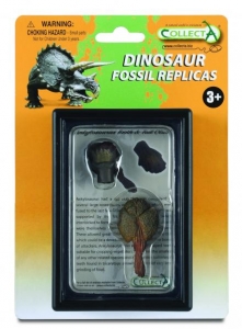 CollectA 89287 Replik Zahn & Schwanzkn�ppel von Ankylosaurus Box Set
