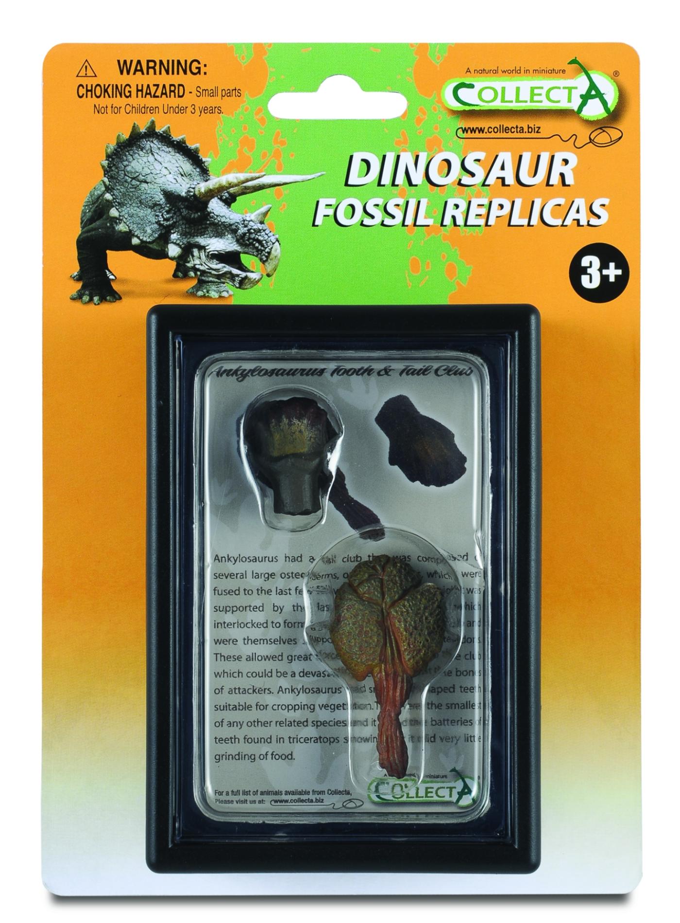 CollectA ReplikZahn & Schwanzkn�ppel von Ankylosaurus Box Set