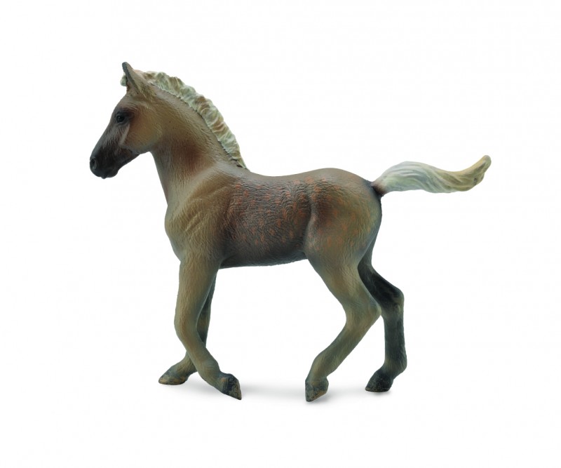 CollectA Rocky Mountain Foal 88799