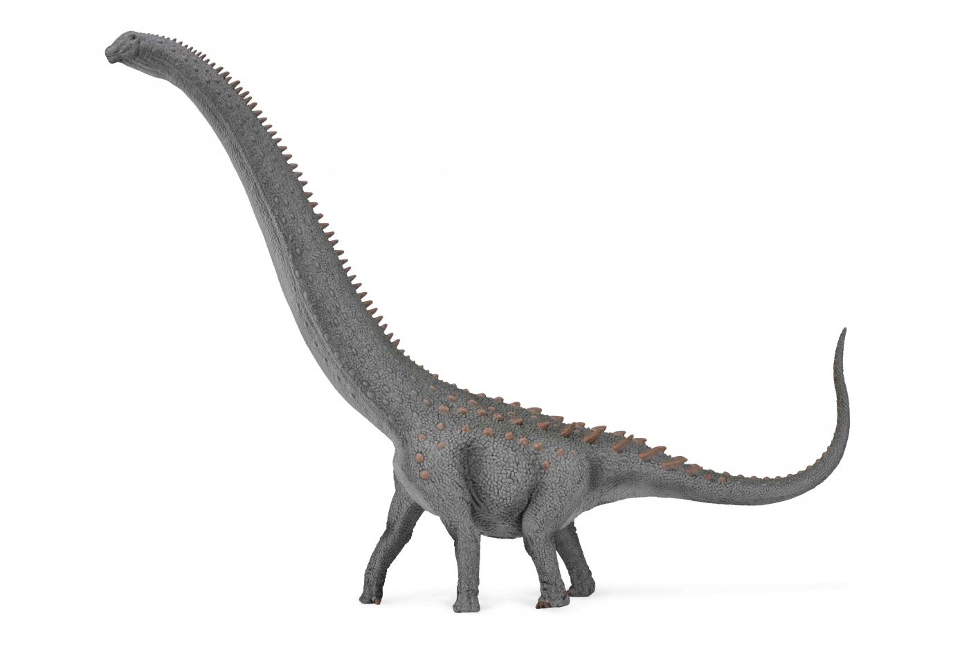 CollectA Ruyangosaurus dino - Deluxe 88971