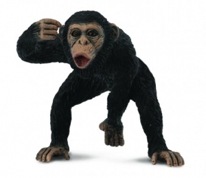 CollectA 88492 Schimpanse M�nnchen - Tierfiguren bei spielzeug-guenstig.de