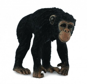 CollectA 88493 Schimpanse Weibchen - Tierfiguren bei spielzeug-guenstig.de
