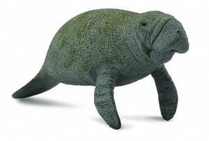 CollectA 88455 Seekuh - Tierfiguren - Figuren bei spielzeug-guenstig.de