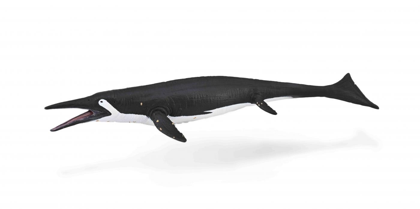 CollectA Urzeit CollectA Shastasaurus 88974
