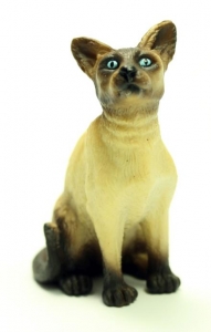 CollectA 88331 Siamkatze sitzend - Tierfiguren bei spielzeug-guenstig.de
