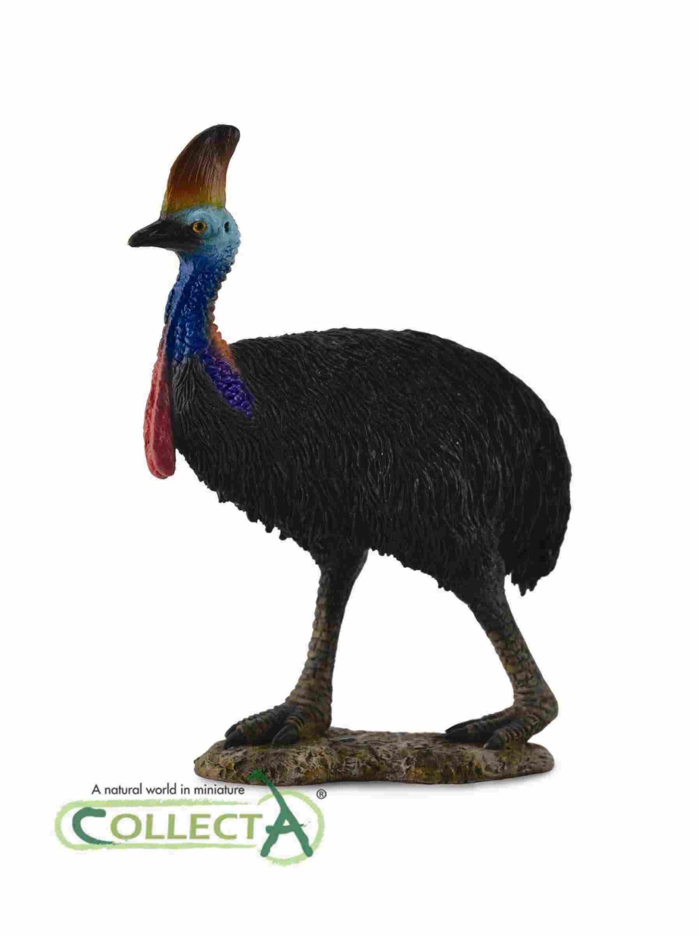 CollectA Southern Cassowary 88651
