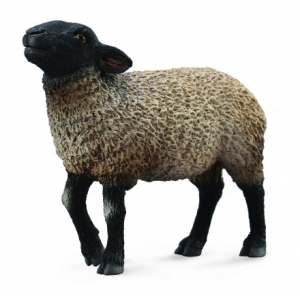 CollectA 88636 Suffolk-Schaf - Tierfiguren - Figuren be