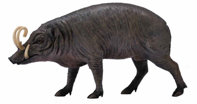 CollectA Sulawesi Babirusa 88727