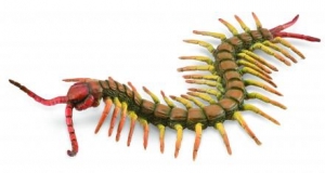 CollectA Insekten: CollectA Tausendf��ler 88885