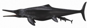 CollectA Temnodontosaurus Platyodon Geburt 88724 Dinosaurier